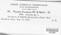 Puccinia kansensis image